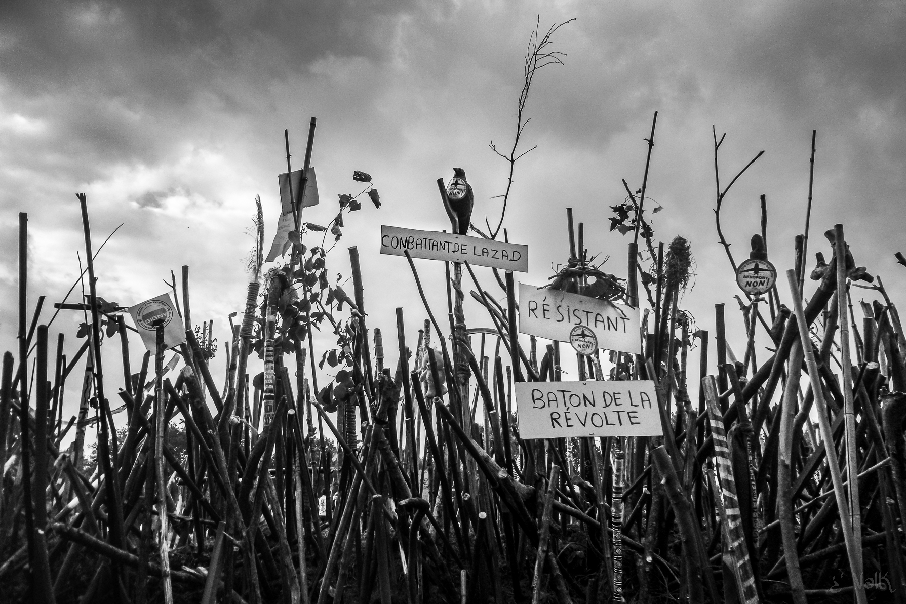 I bastoni della rivolta, 2016. Foto di Valk