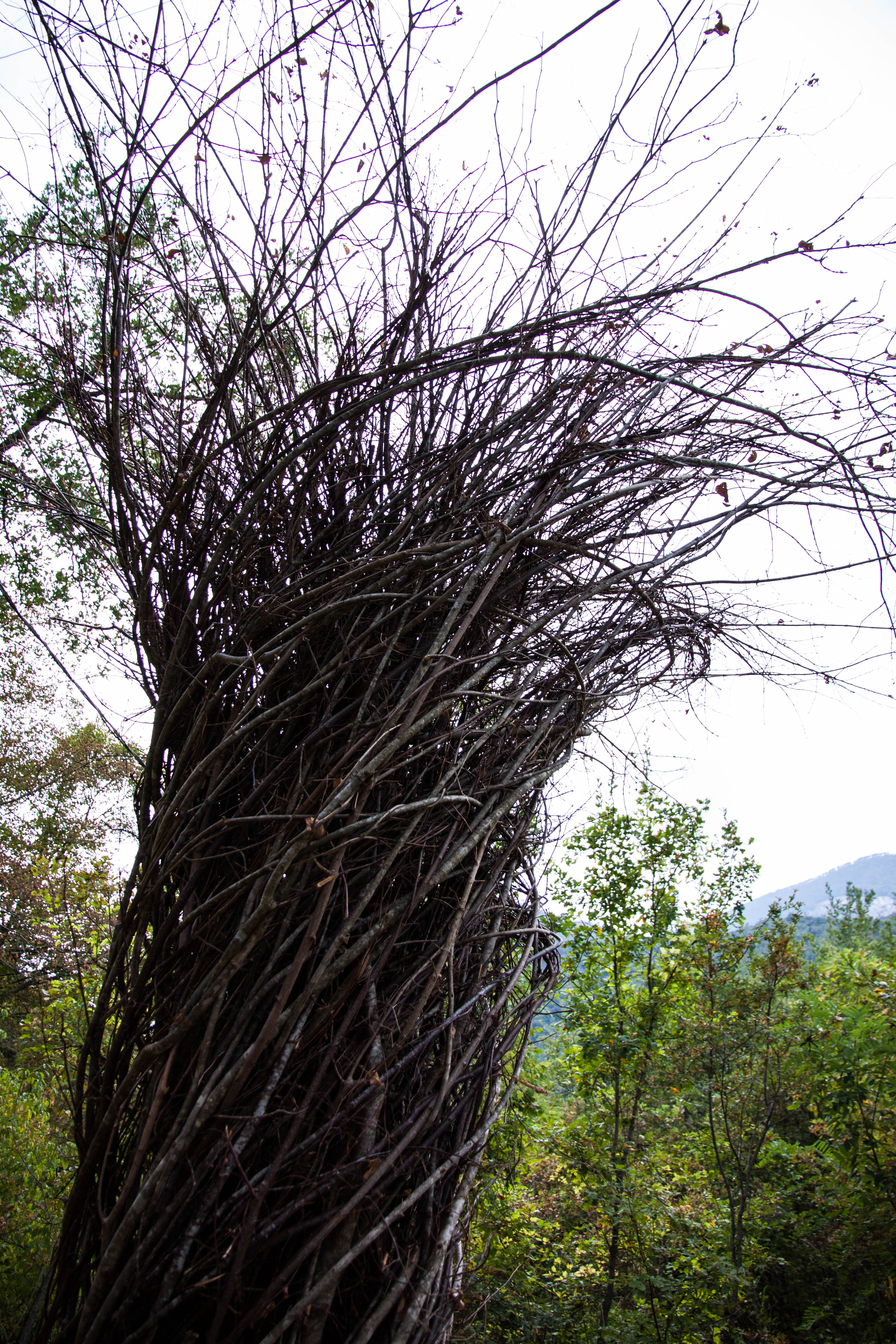 Furlo Land Art 2016. Omaggio all'albero, opera di Marisa Merlin. Foto di Stefania Cimarelli