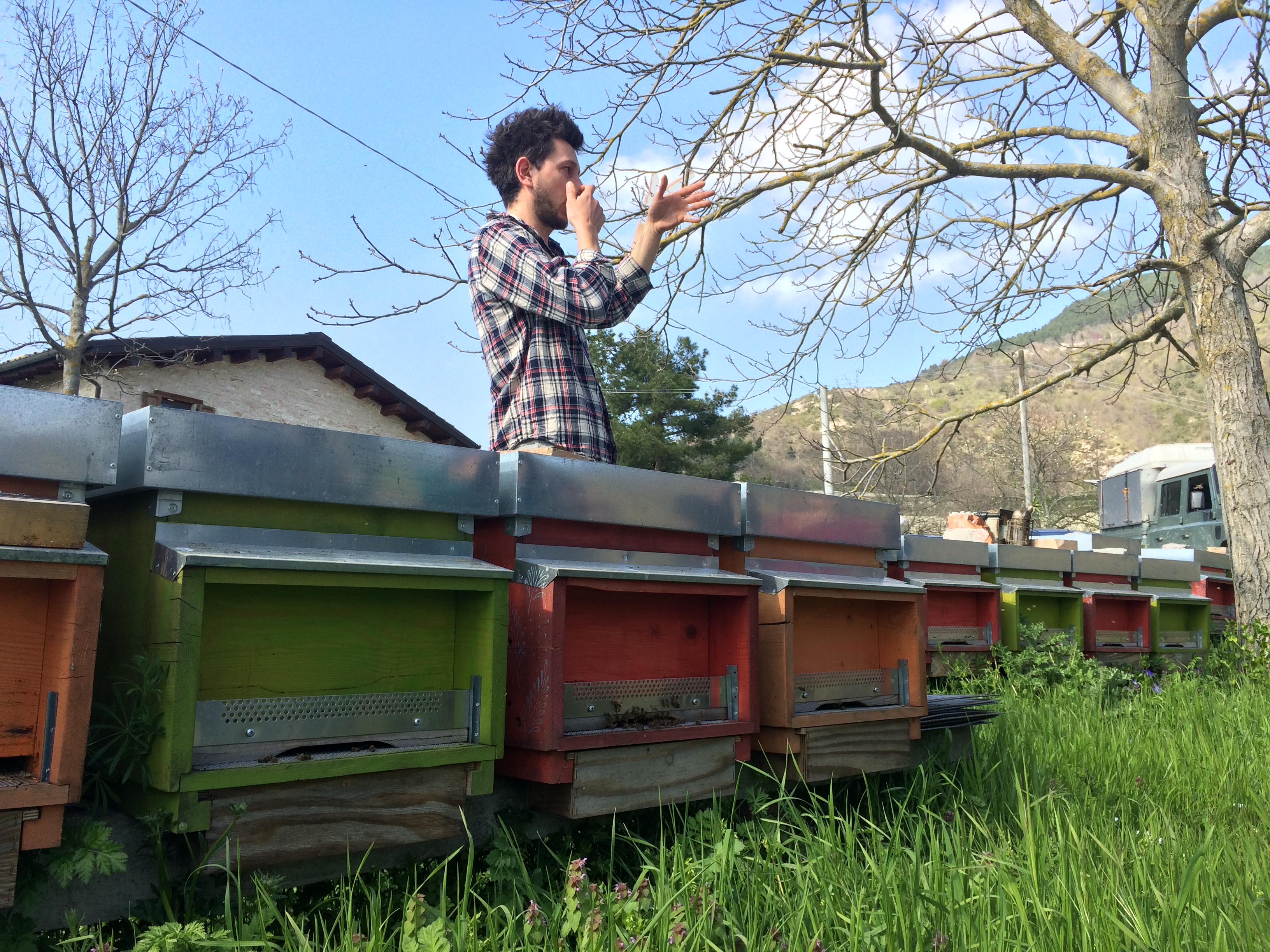Tommaso e le api - Foto di Andrea Simonetti